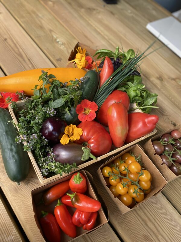 Panier petit format - 2 kg – Image 3